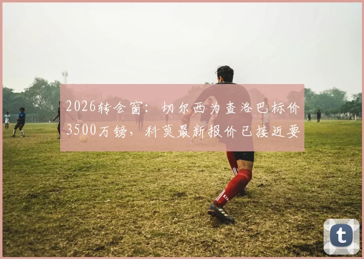 2026转会窗:切尔西为查洛巴标价3500万镑,科莫最新报价已接近要价